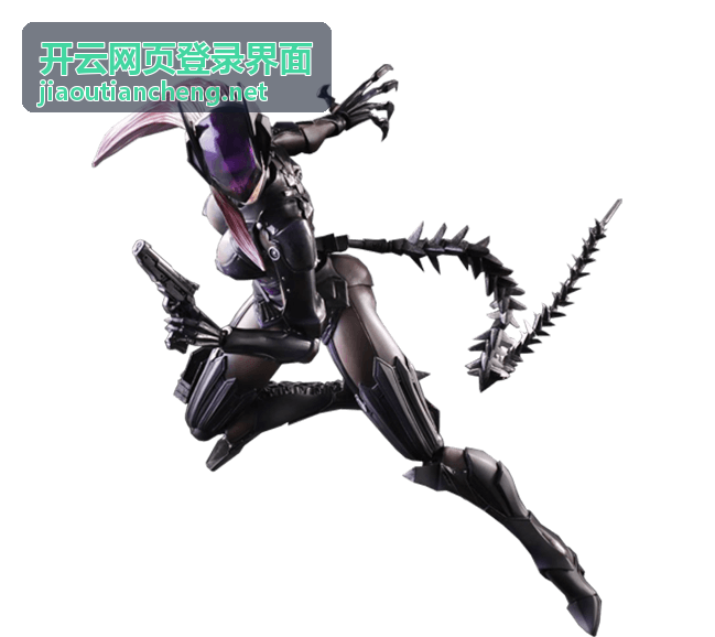 开云网页登录界面账号信息填写区域