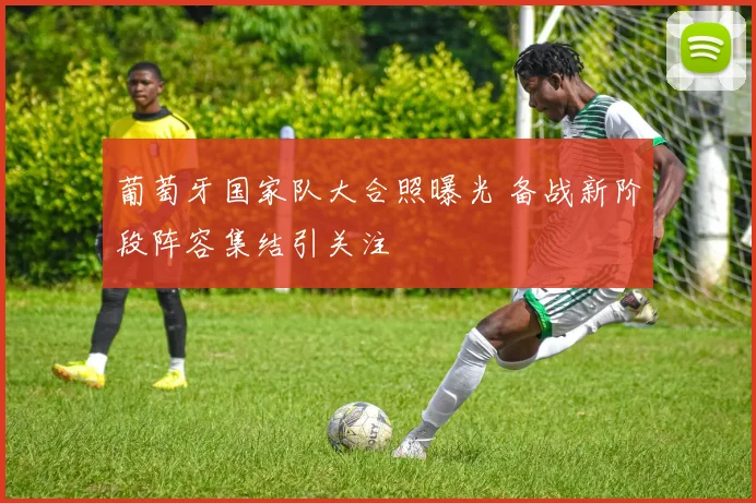 葡萄牙国家队大合照曝光 备战新阶段阵容集结引关注