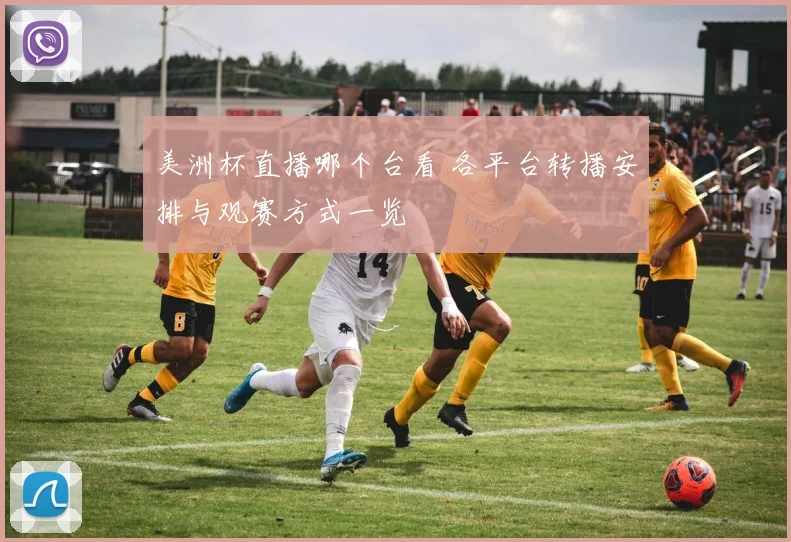 美洲杯直播哪个台看 各平台转播安排与观赛方式一览