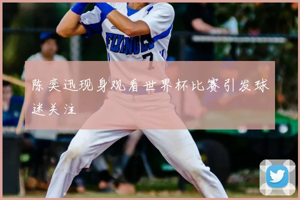 陈奕迅现身观看世界杯比赛引发球迷关注