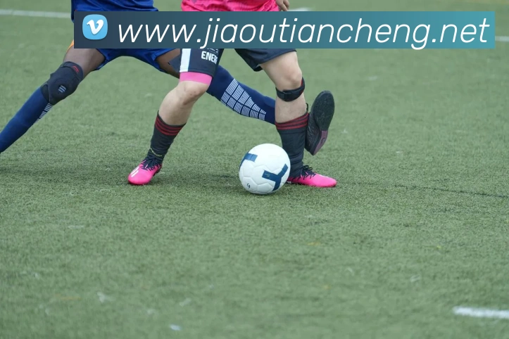 开云在线官网登录入口APP 封面图